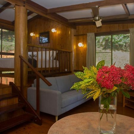 Milkwood Lodge Cooktown Eksteriør billede