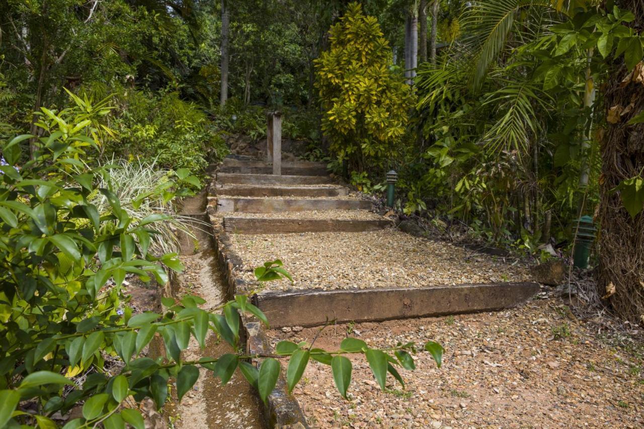 Milkwood Lodge Cooktown Eksteriør billede